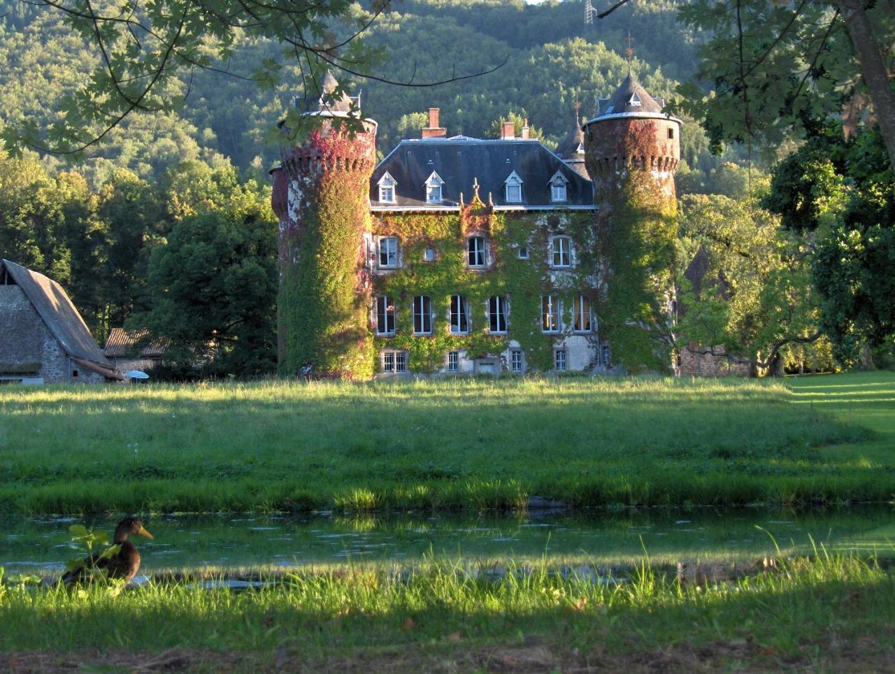 Chateau De SedaigesMarmanhac エクステリア 写真